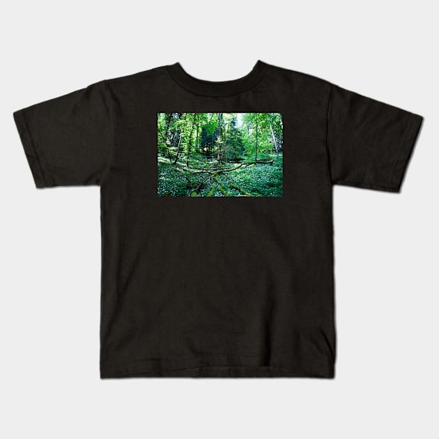 Swiss forest Kids T-Shirt by Wolf Art / Swiss Artwork Photography